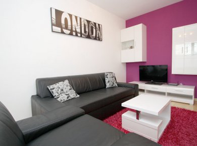 Furnished, 1-bedroom apartment (42m2) with a garage