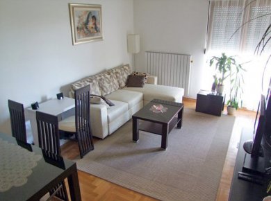 Furnished, 2-bedroom apartment (76m2) with a view of the Lake Jarun